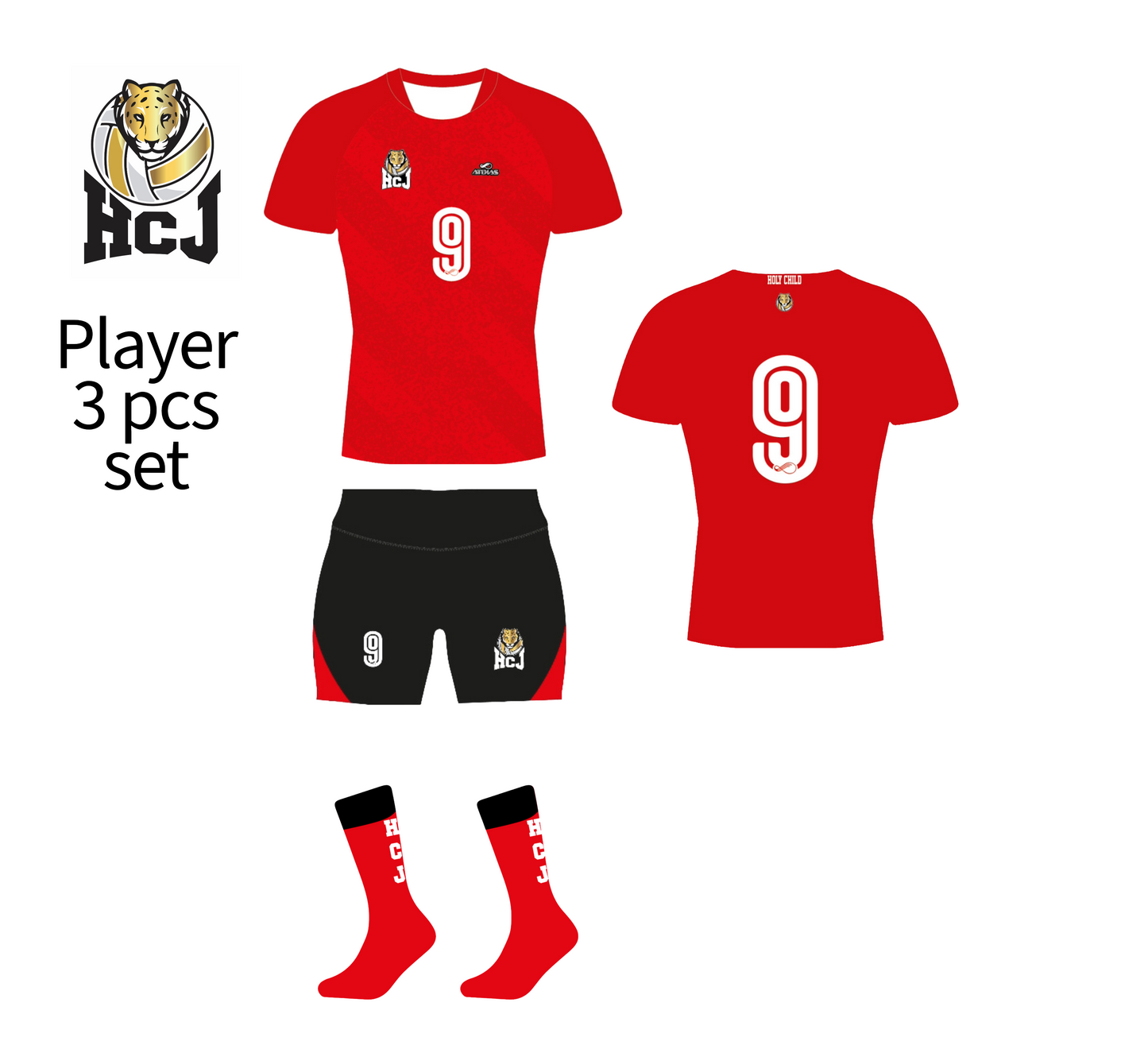 HCJ Volleyball - Player Mandatory set
