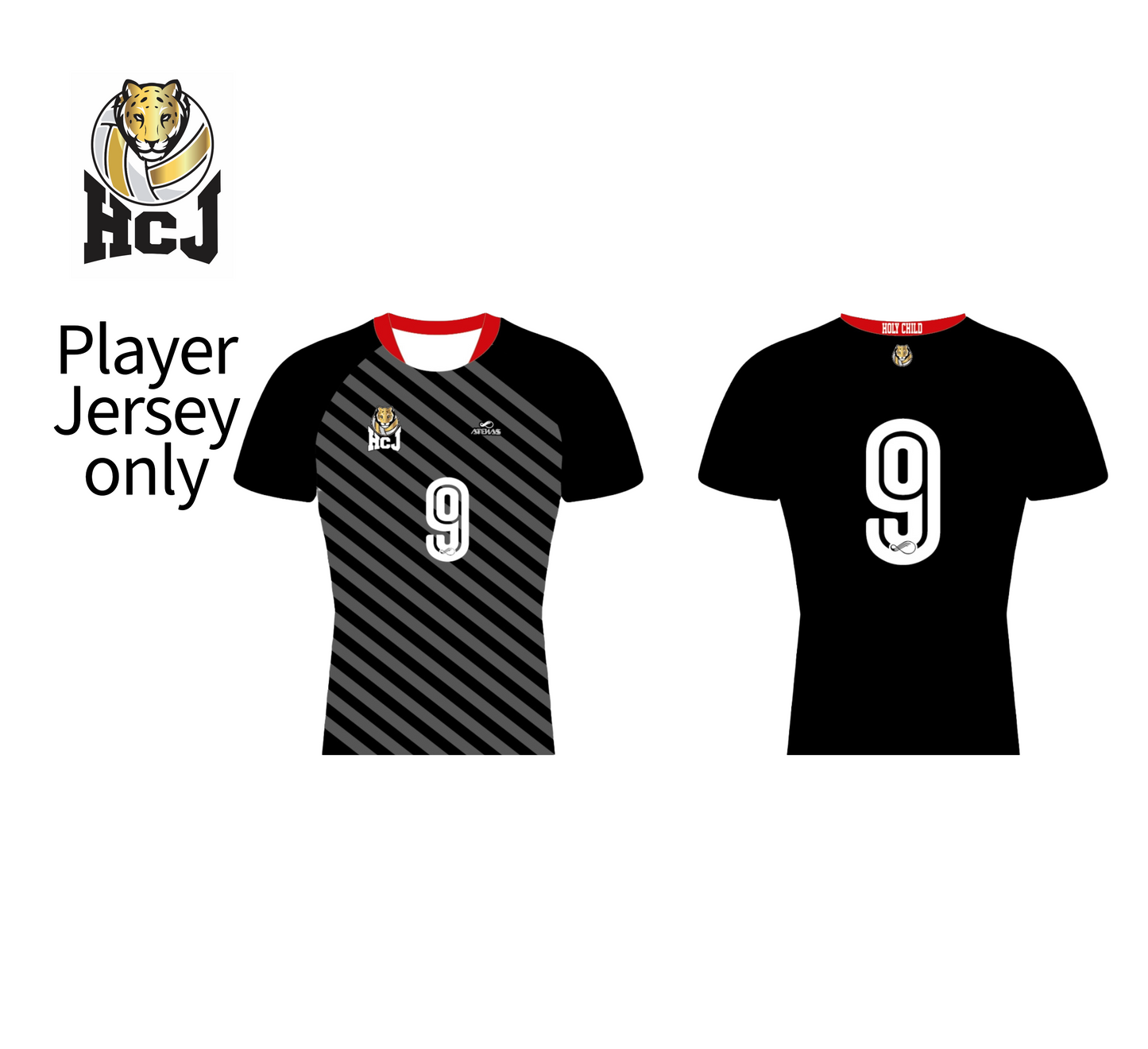 HCJ Volleyball - Alternative & Libero Player Individual items